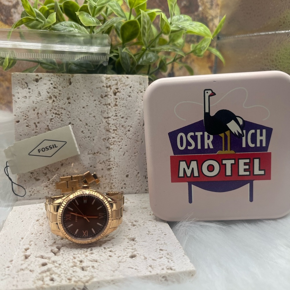 Rose Gold Bronze/Brown Fossil Watch